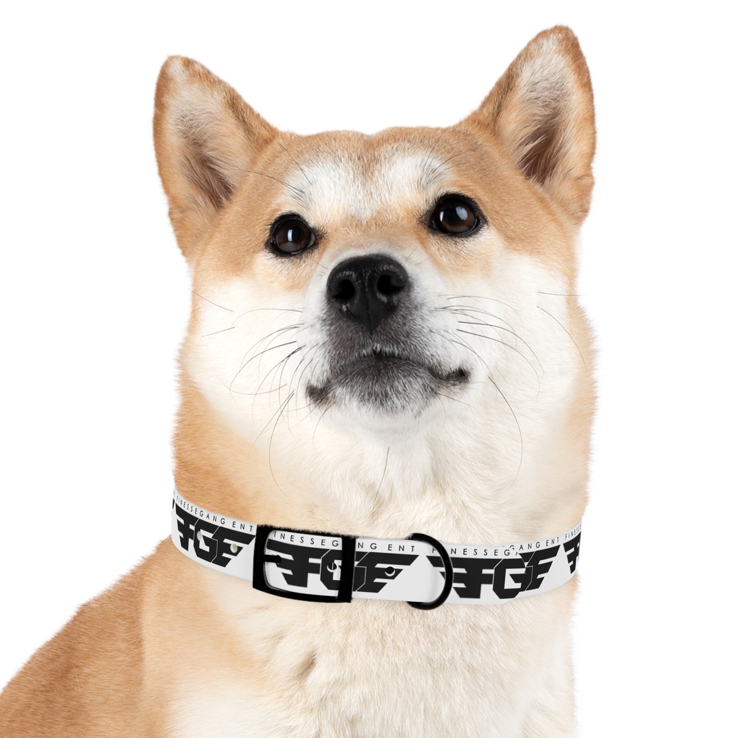 Stylish FGE Dog Collar for Trendy Pets, Fashionable Dog Accessory, Personalized Pet Gear, Unique Collar for Dog Lovers, Custom Dog Collar