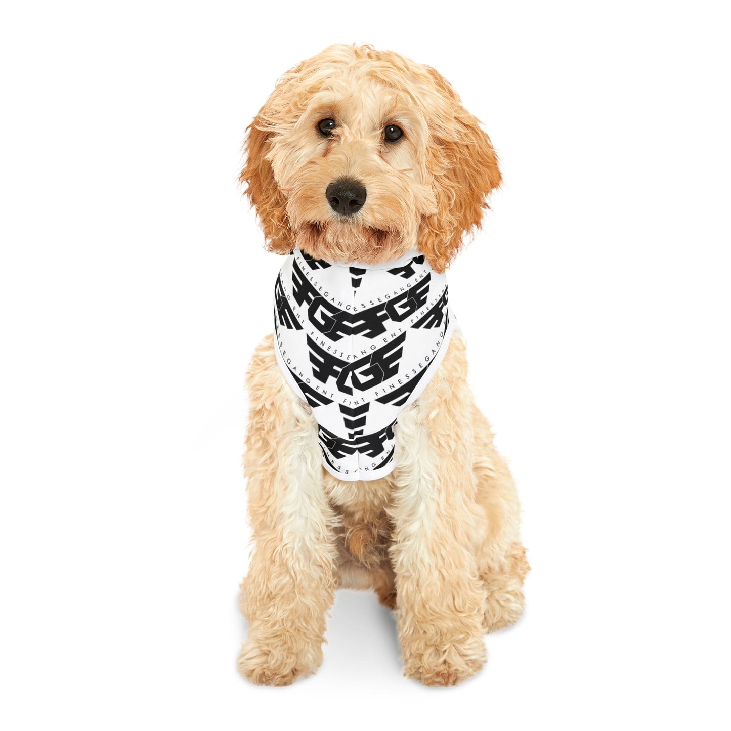 Stylish FGE Pet Hoodie for Fashionable Pets, Cozy Dog Sweater, Cute Cat Hoodie, Pet Apparel, Trendy Pet Clothing, Gifts for Pet Lovers