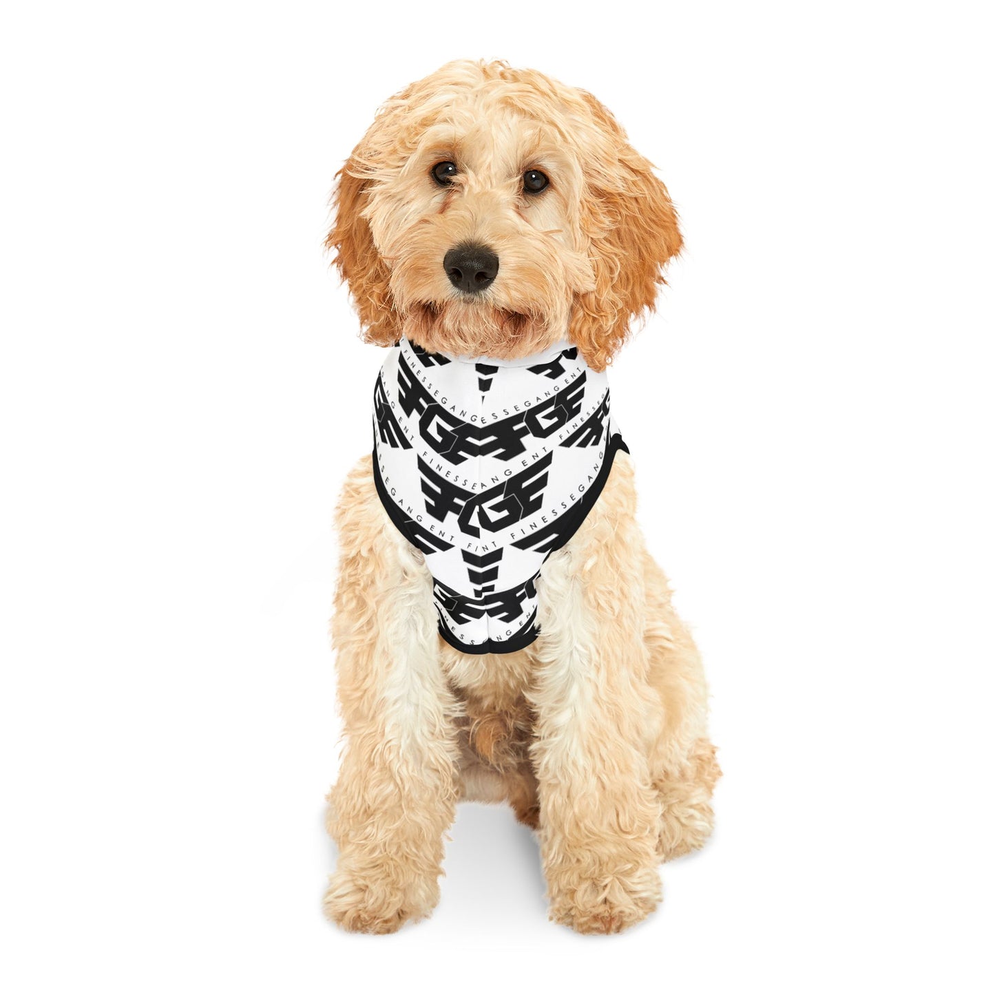 Stylish FGE Pet Hoodie for Fashionable Pets, Cozy Dog Sweater, Cute Cat Hoodie, Pet Apparel, Trendy Pet Clothing, Gifts for Pet Lovers