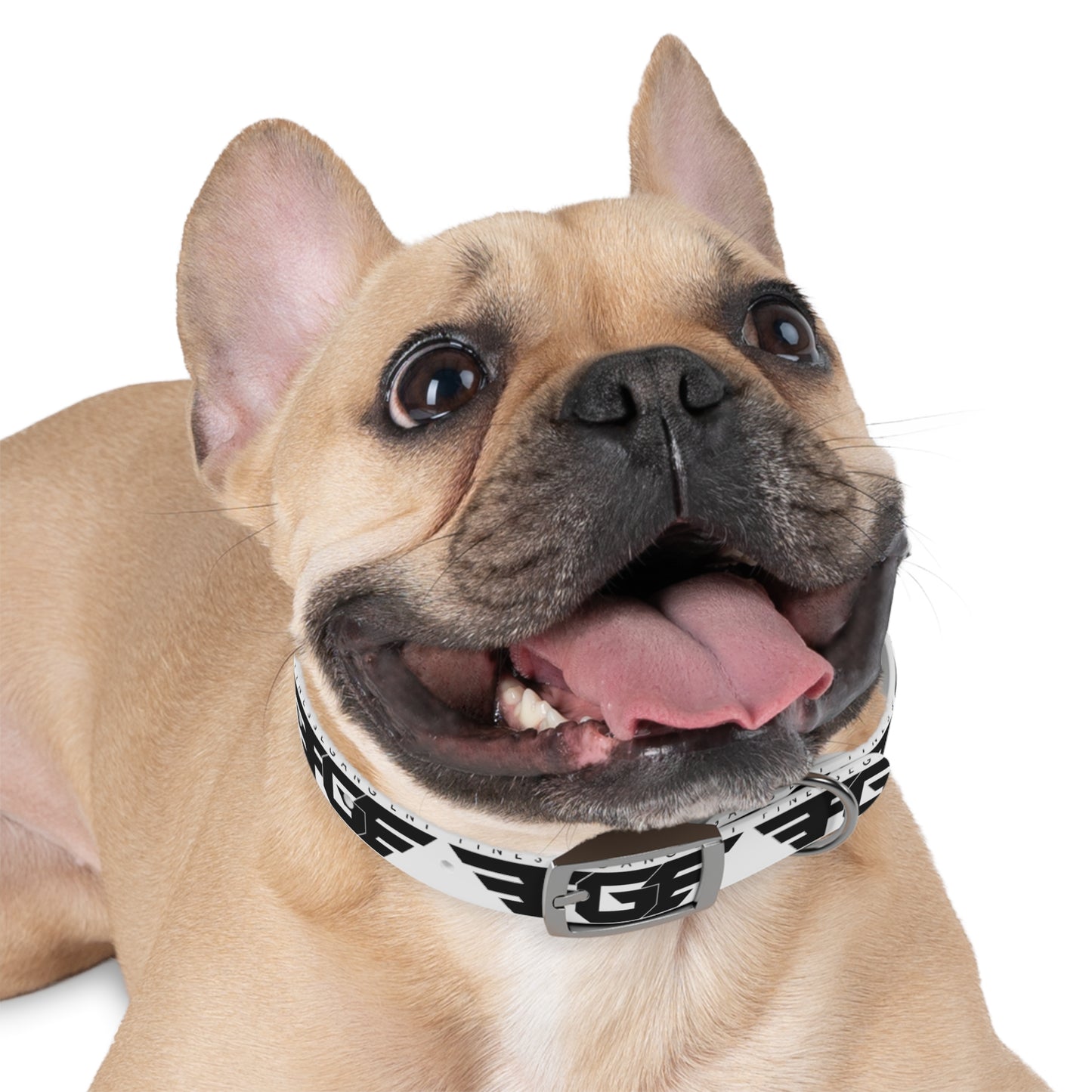 Stylish FGE Dog Collar for Trendy Pets, Fashionable Dog Accessory, Personalized Pet Gear, Unique Collar for Dog Lovers, Custom Dog Collar