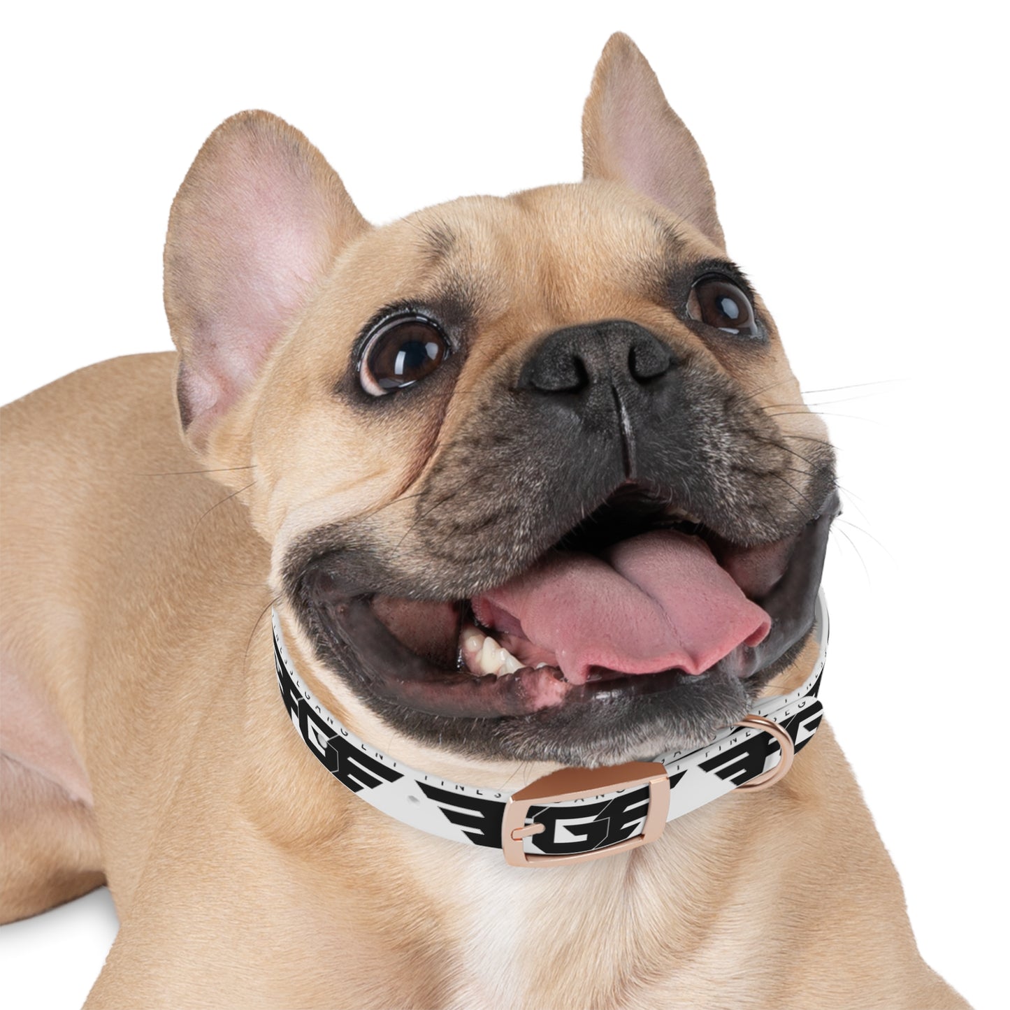Stylish FGE Dog Collar for Trendy Pets, Fashionable Dog Accessory, Personalized Pet Gear, Unique Collar for Dog Lovers, Custom Dog Collar
