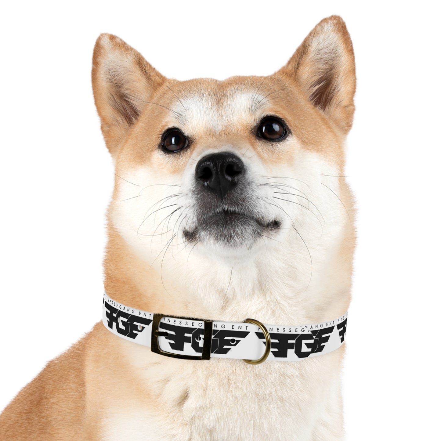 Stylish FGE Dog Collar for Trendy Pets, Fashionable Dog Accessory, Personalized Pet Gear, Unique Collar for Dog Lovers, Custom Dog Collar