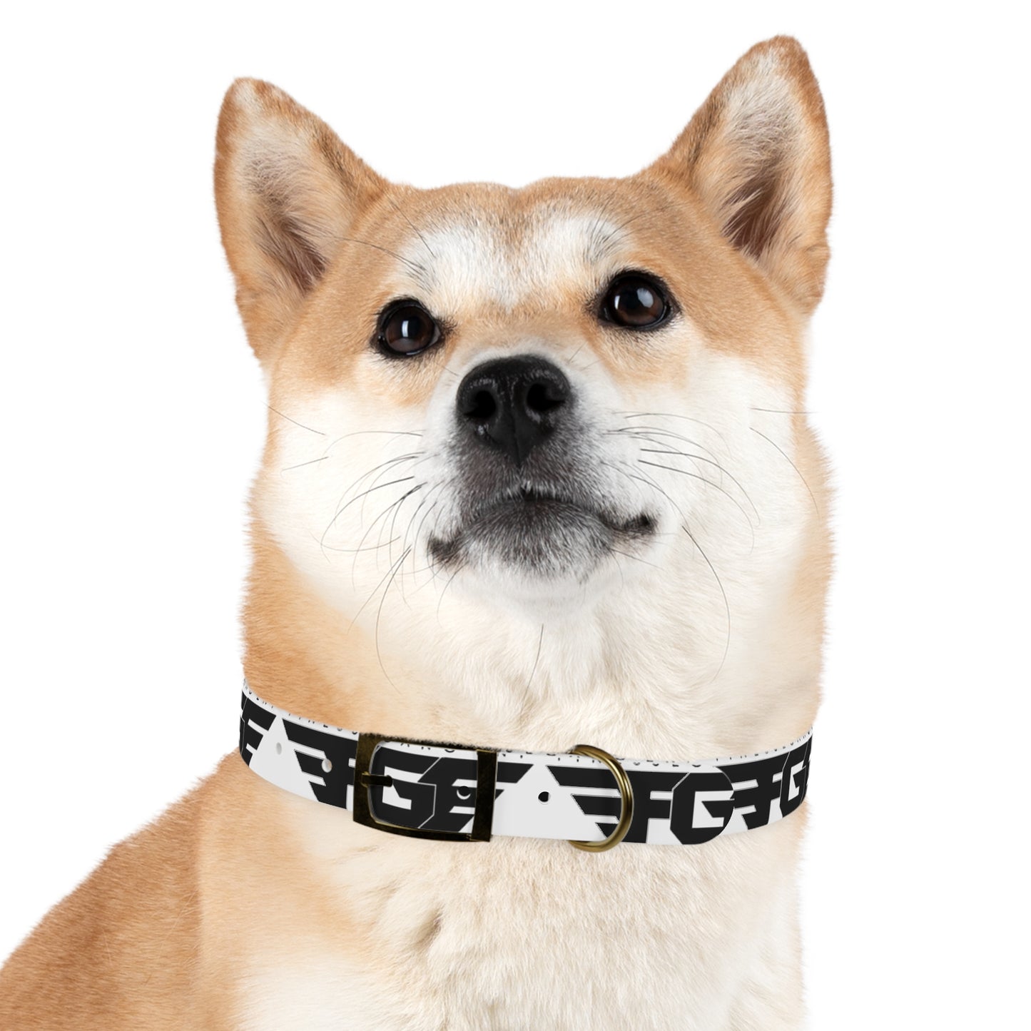 Stylish FGE Dog Collar for Trendy Pets, Fashionable Dog Accessory, Personalized Pet Gear, Unique Collar for Dog Lovers, Custom Dog Collar