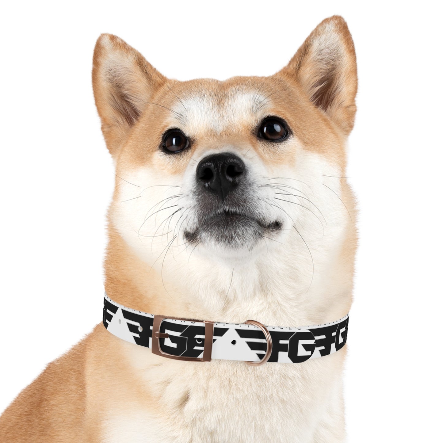 Stylish FGE Dog Collar for Trendy Pets, Fashionable Dog Accessory, Personalized Pet Gear, Unique Collar for Dog Lovers, Custom Dog Collar