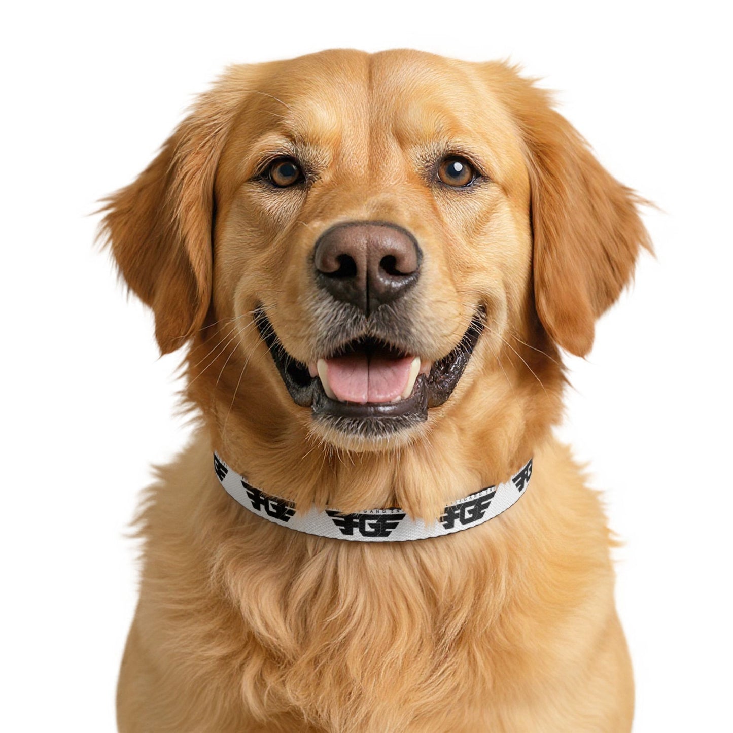 FGE Clip-On Pet Collar — Black & White Logo Adjustable Dog Collar
