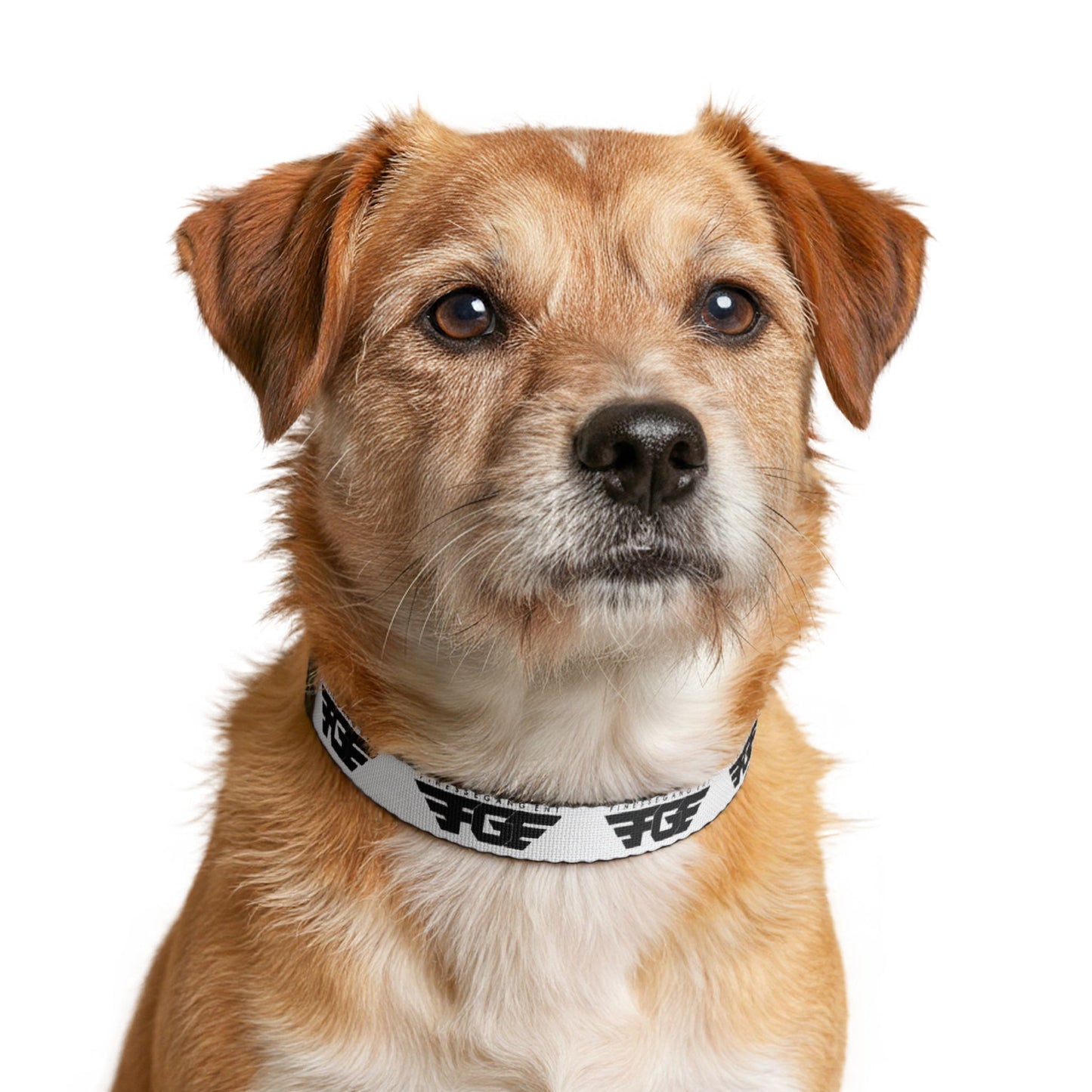 FGE Clip-On Pet Collar — Black & White Logo Adjustable Dog Collar