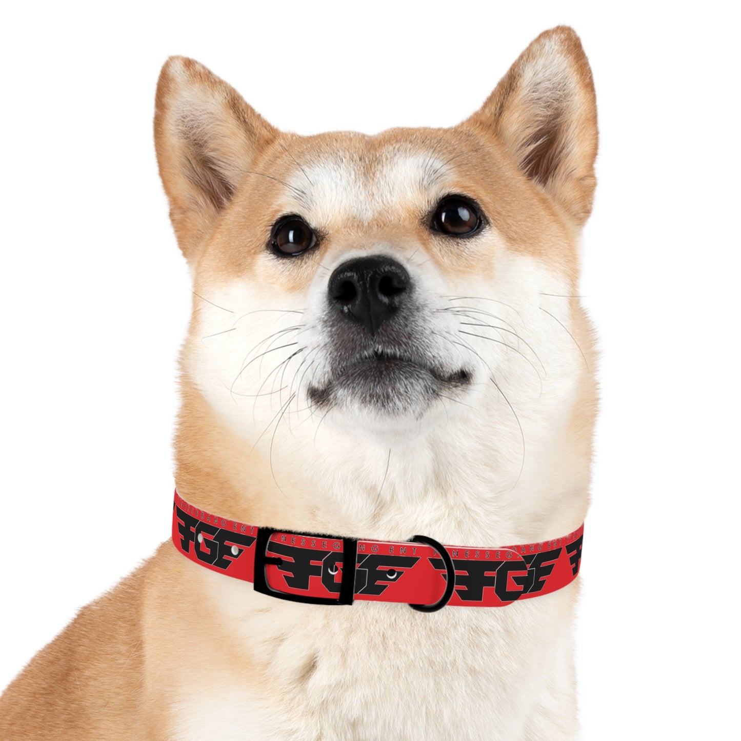 Bold Stylish Dog Collar - Vibrant Red Design with Logos for Trendy Pets